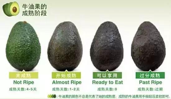 2- 牛油果两步取肉