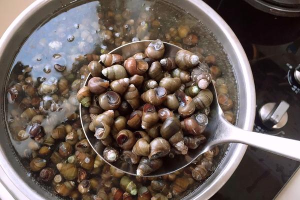 专注田螺三十年的店,田螺鸡煲鲜香美味好吃到哭