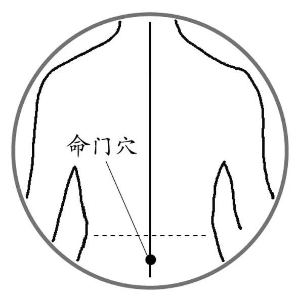 命门穴