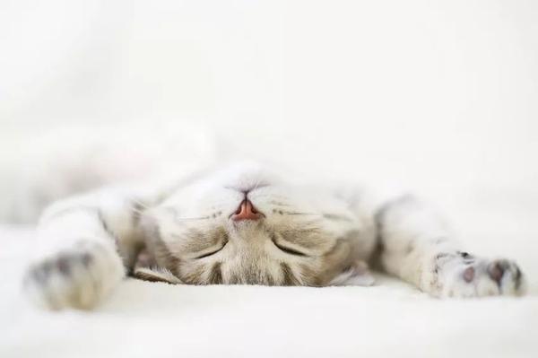 你的年龄该睡几小时?现在知道还不晚