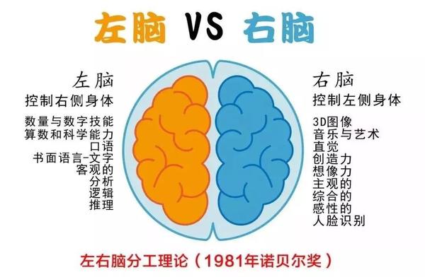 右脑的信息储存量是左脑的一百万倍,而右脑记忆主要是图像