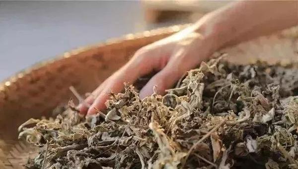 制作一个高质量的艾绒枕,至少需要8道工序,每一步的要求,都是