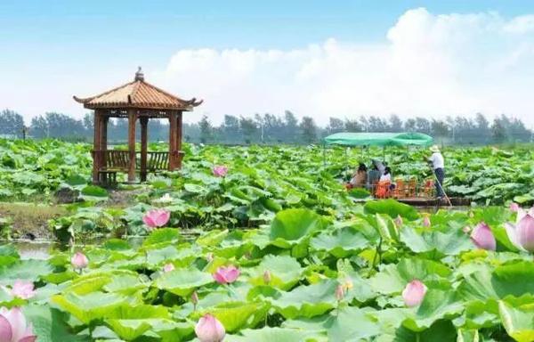 厉害了,大菏泽!强势登陆央视!亮相全国.