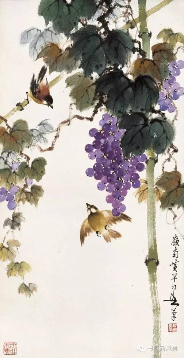 国画中最美的葡萄都在这里了!大饱眼福!