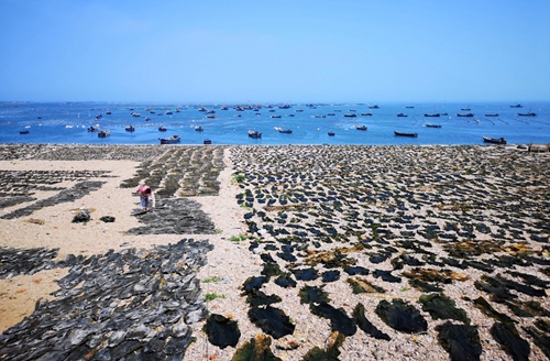 "蓝鲸1号"长鲸1号 海上"大国重器"扎堆"烟台造"