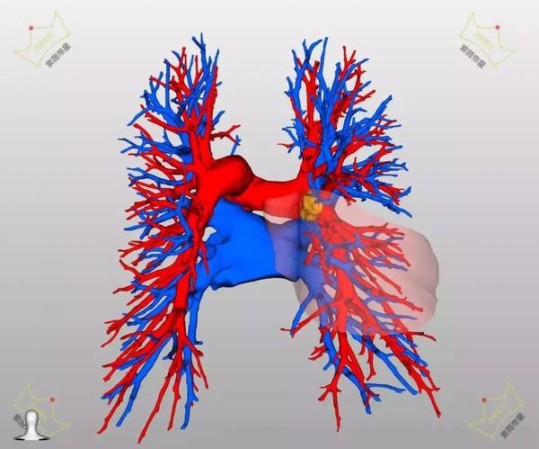 山东省胸科医院运用高端影像技术精准完成肺段手术