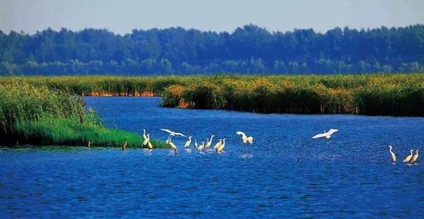 在单县,             有个国家aaaa旅游景区            ,叫浮龙湖