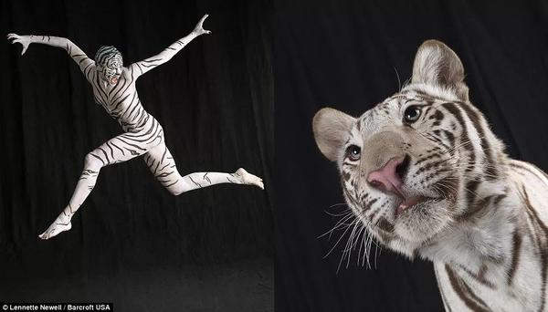 人体禁照,这一次终于全齐了!震撼!别不好意思看