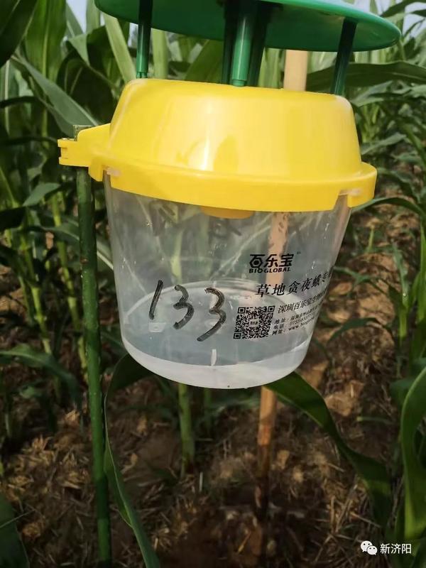 性诱捕器