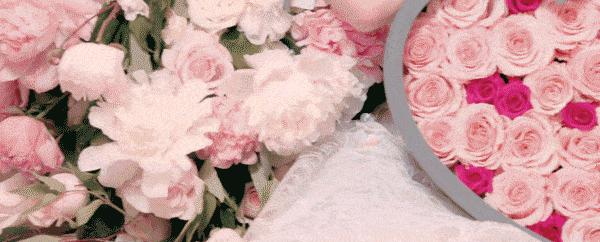 600_242gif 动态图 动图