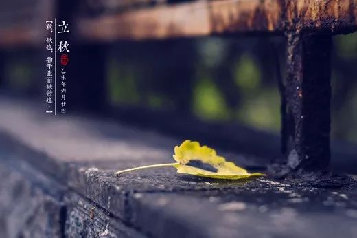 立秋:梧桐一叶落,天下尽知秋