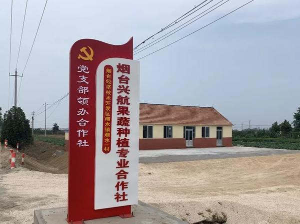 【党支部领办合作社】打造增收新途径!