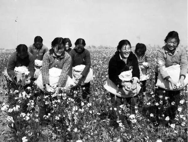 老巨野啥样?有多少人还认得这些老照片!