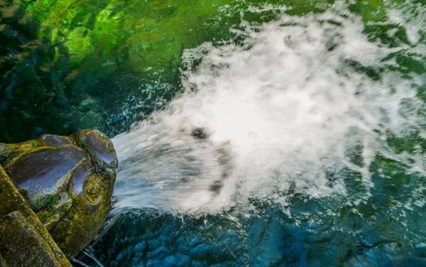 【游遍济南】黑虎啸泉 入河护城