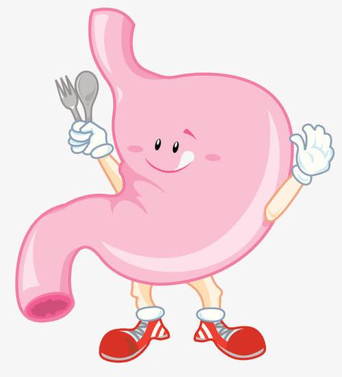 减肥先减胃,3个方法控制食欲,让你减少卡路里摄入