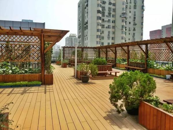    楼顶花园