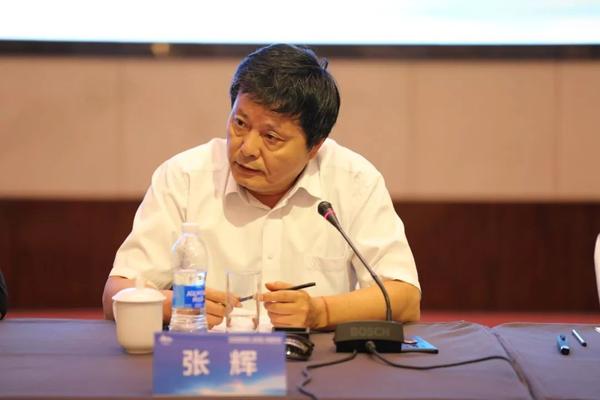 北京交通大学旅游系主任                      张辉