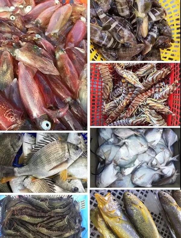 我的天,海鲜竟然还可以这样吃?