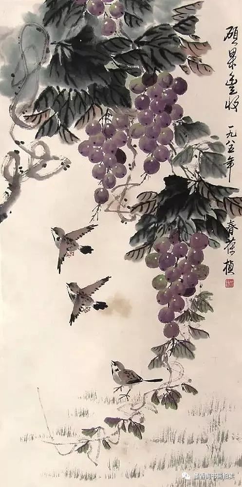 现代著名的花鸟画家 擅长画葡萄,故曾得雅号"苏葡萄.