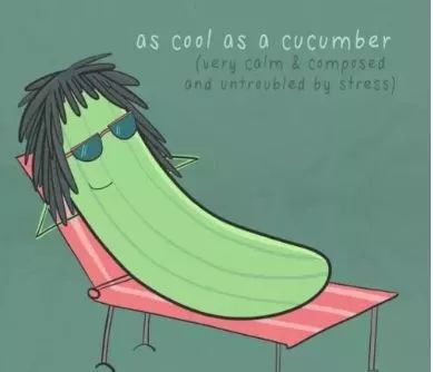 "cool as a cucumber"我是一个没有感情的黄瓜?