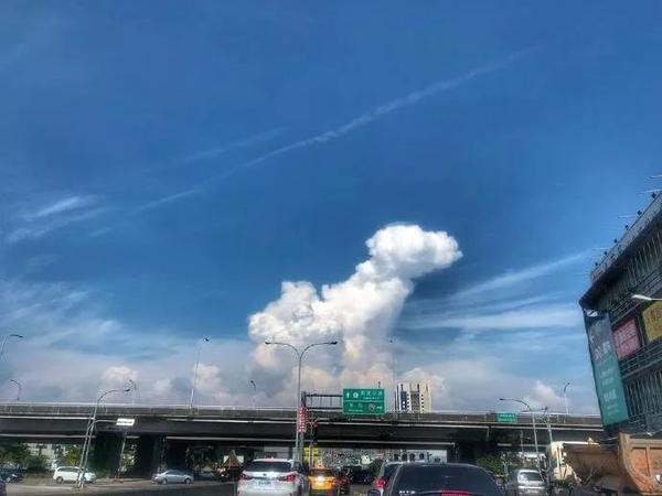 天上有朵云做的狗.这么可爱的狗狗云你们见过没?