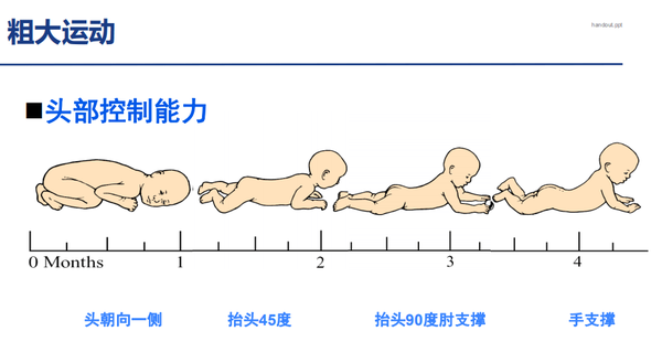 宝宝的大运动和精细运动发育时间表