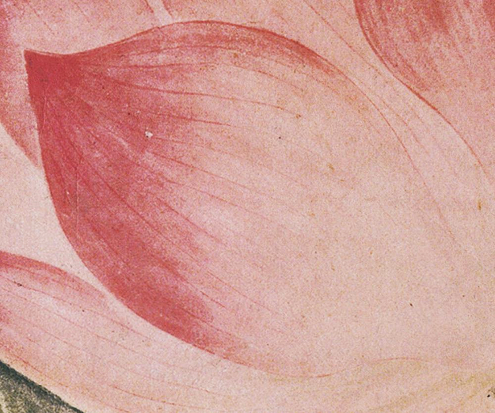 清,吴应贞《荷花图》