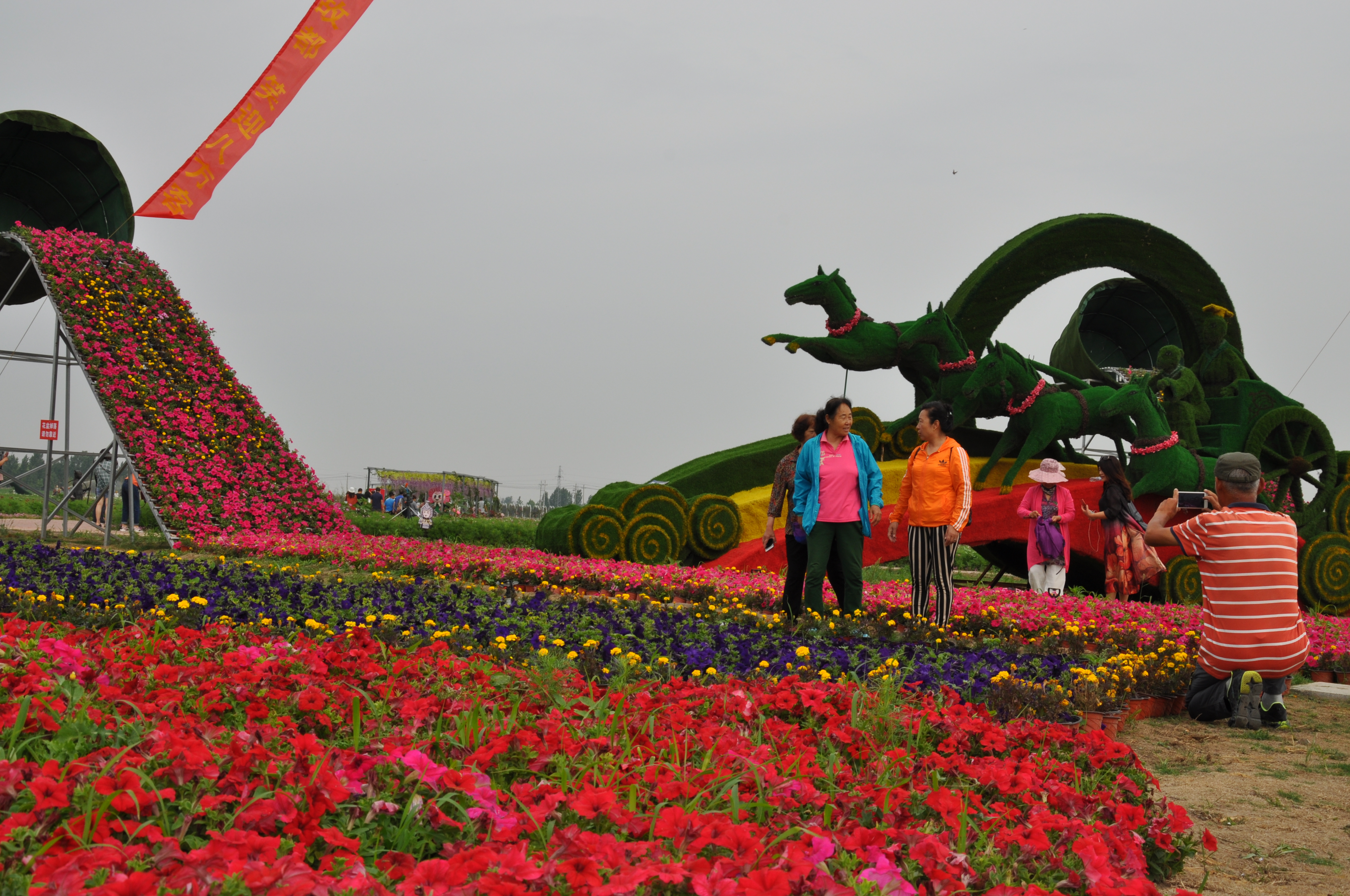 旅行社进淄博"临淄旅游推介会暨2019"齐都花海"开园仪式在临淄举行