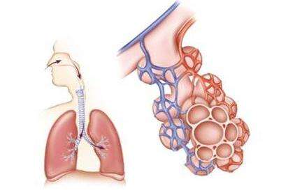 肺纤维化应该如何治疗?在治疗期间需要注意这