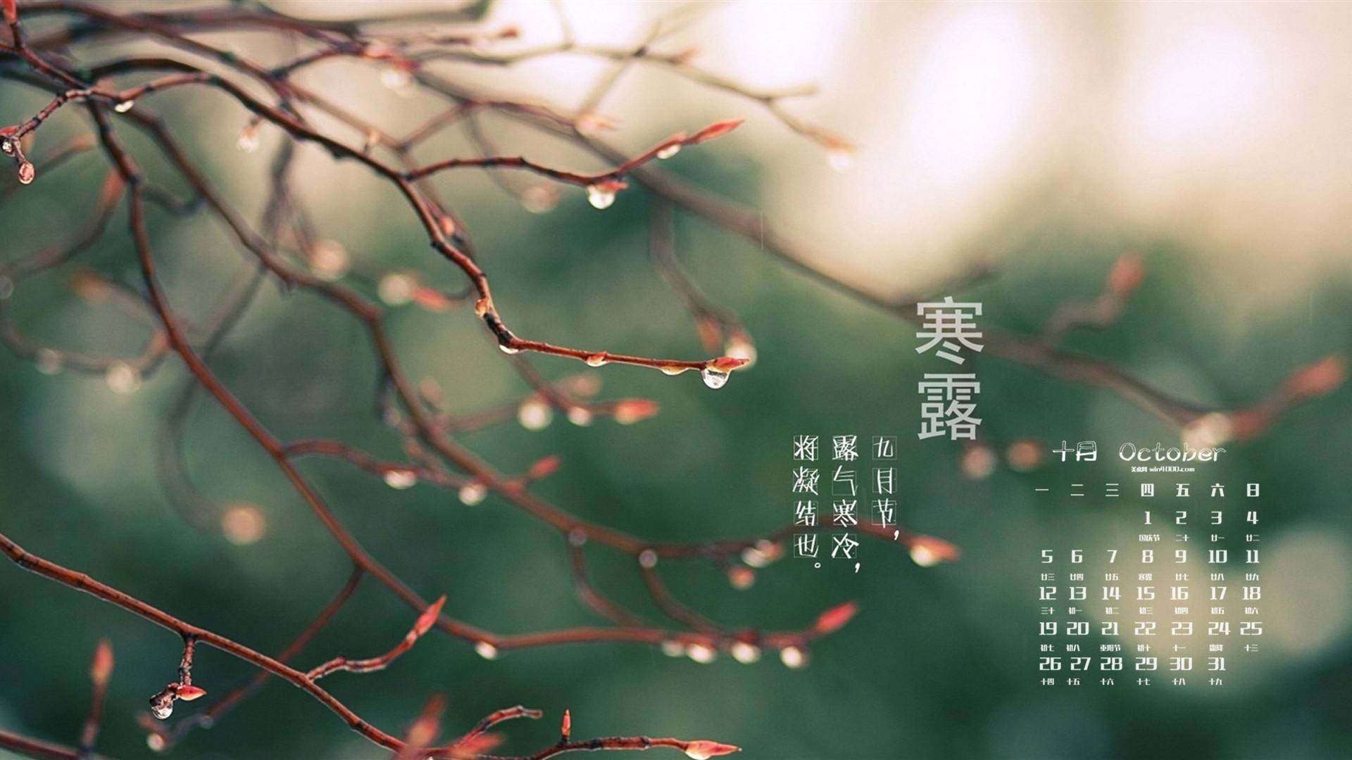 寒露来了,早晚温差大,记得添衣!