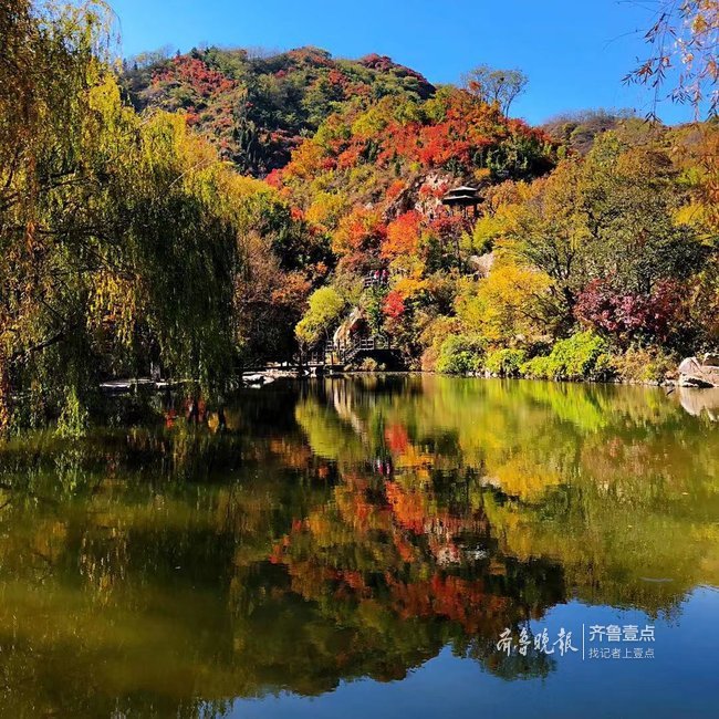 秋天 醉美 的事情 是邂逅九如山多彩的枫叶 齐鲁壹点网