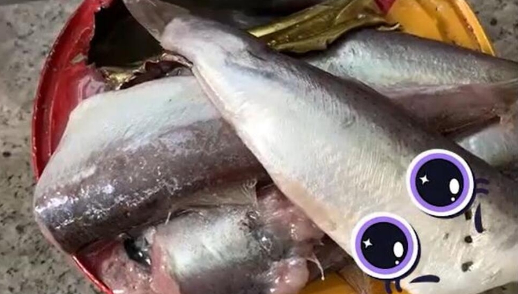 点个外卖作死挑战世界最臭鲱鱼罐头吃一口吐一口