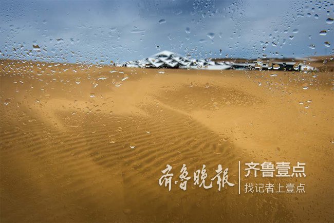泉城影苑雨滴晶莹如珍珠沙漠雨中景色如梦如幻