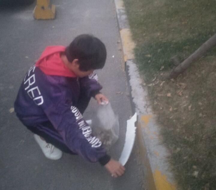 我的志愿故事(353)志愿者服务有感