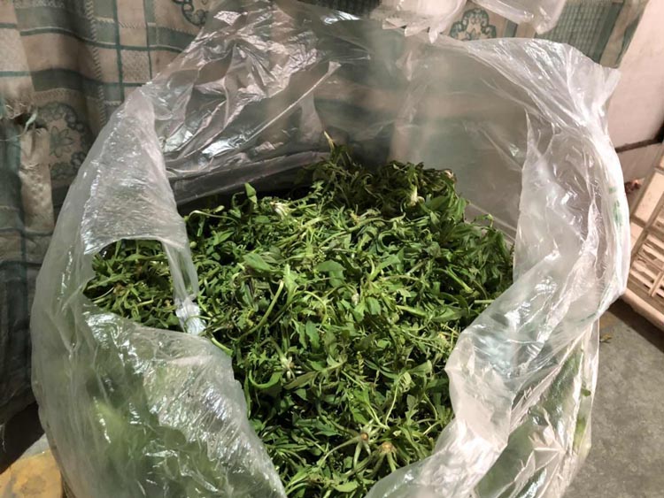 超市后发现,这些野菜的售价并不便宜,多数价格在6元/斤左右,荠菜8元