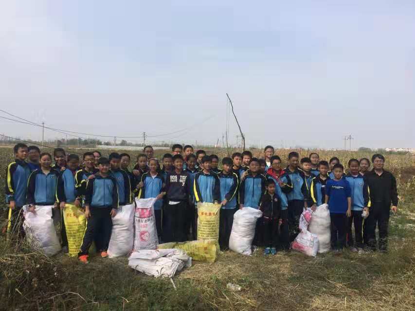 我的志愿故事(115)一次有意义的社会实践活动