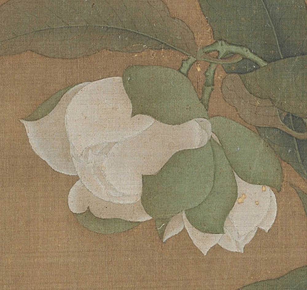 宋代《夜合花图》(北京故宫博物院藏)