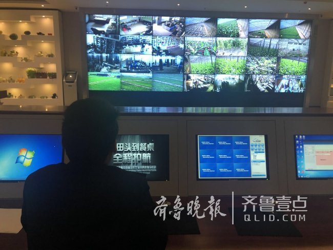 聊城(莘县)瓜菜菌博览会开幕,参展单达355家