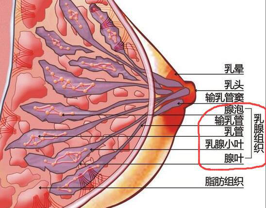 乳房下垂矫正是个好方法