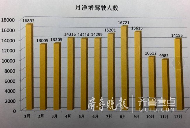 济南人口年龄比例_有数据又有真相 济南女司机靠谱(3)