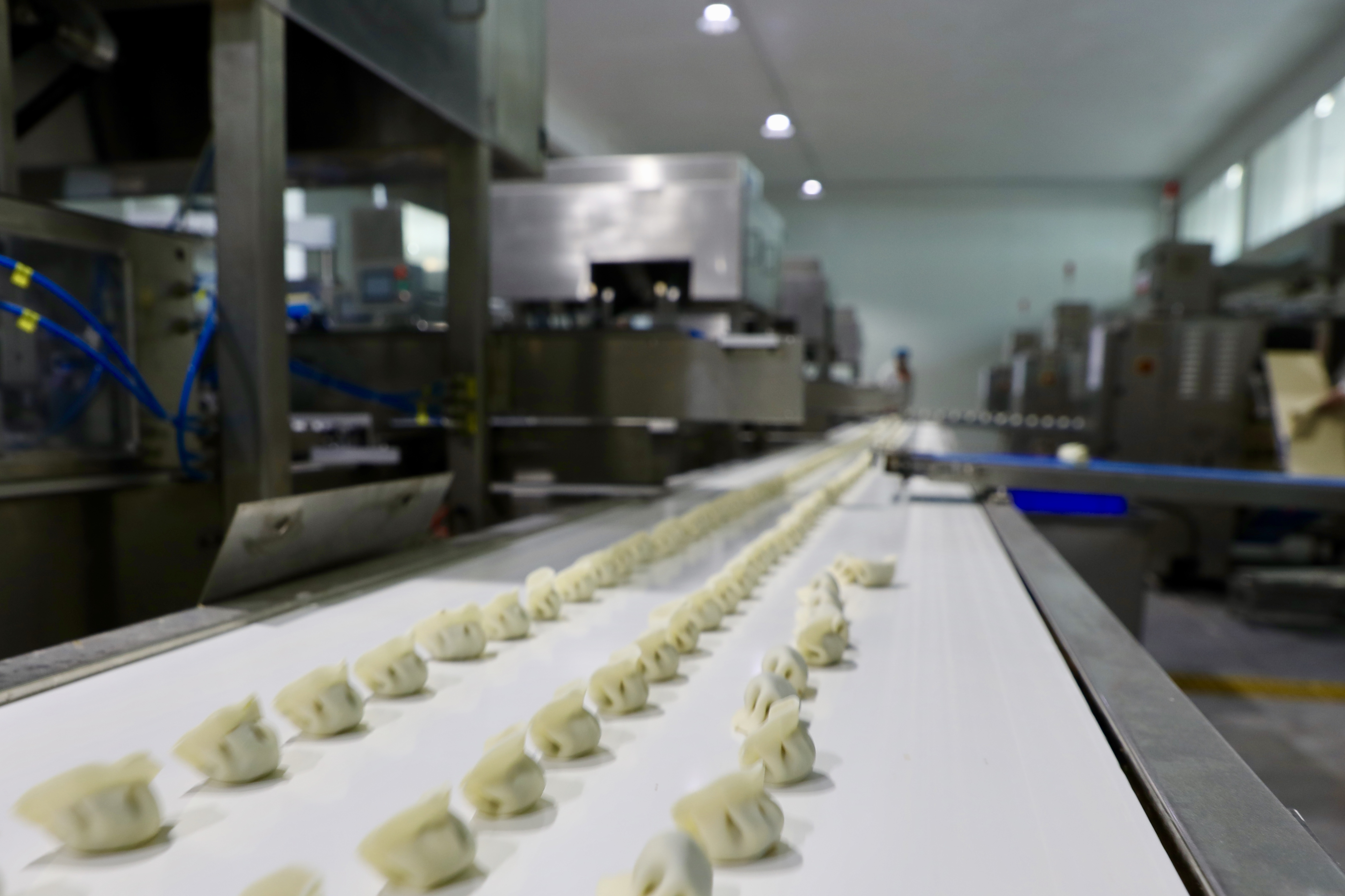 科研创新叠加品牌建设助推山东粮油企业转型升级