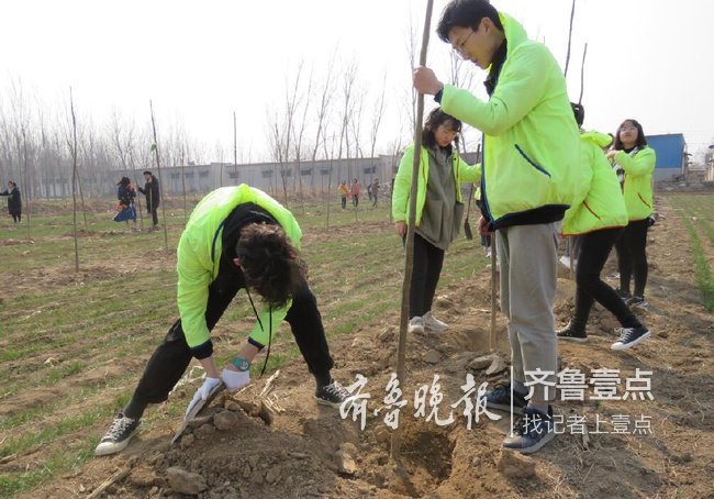 聊城大学文学院志愿者开展植树活动