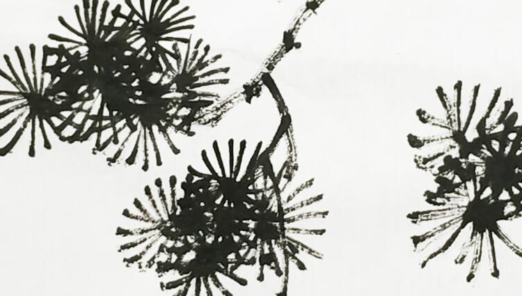 果然视频山水画课堂球形松针的画法