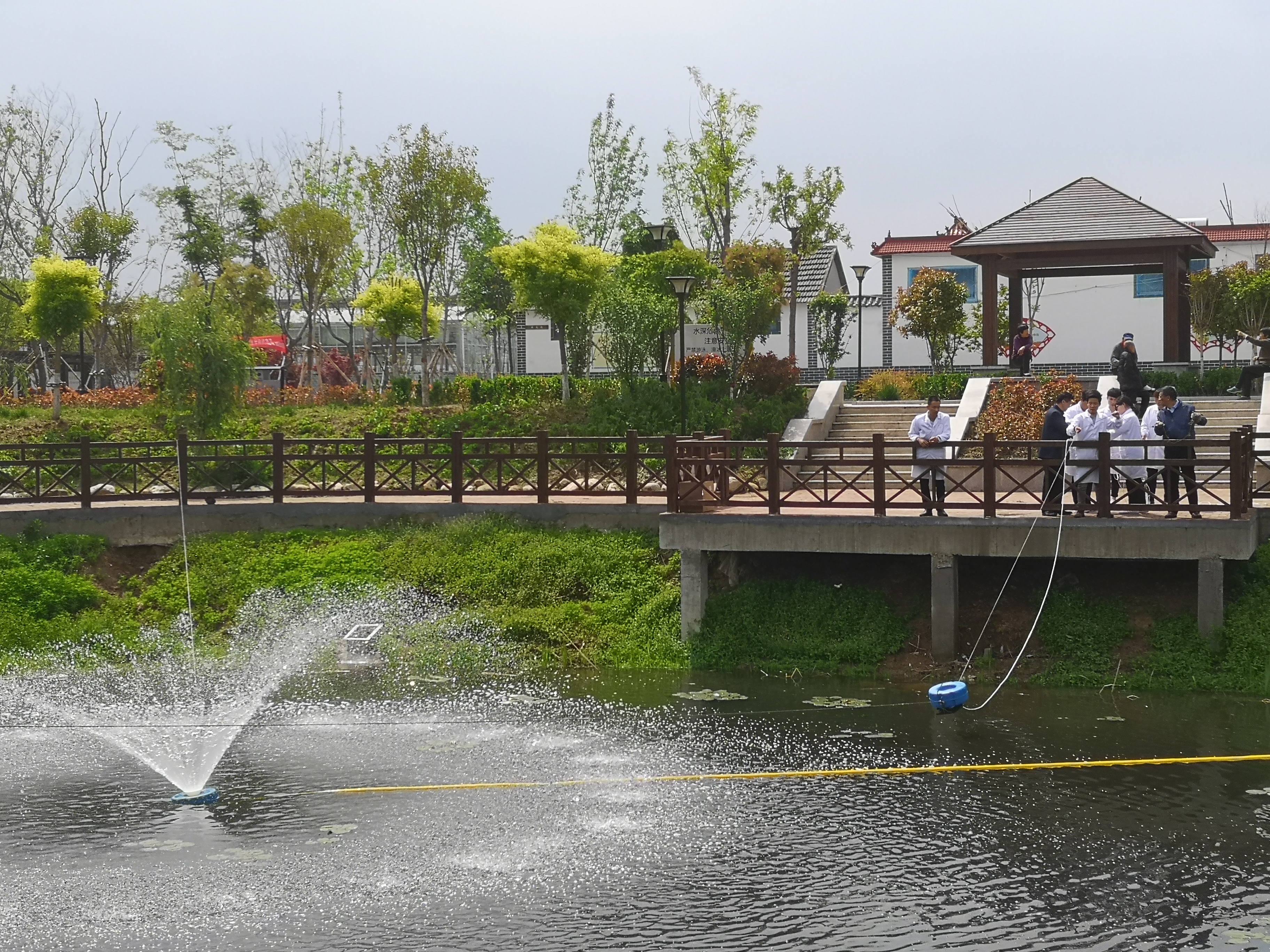 石墨烯水环境治理与生态修复济宁首个工程落地高新区