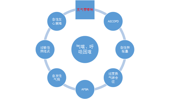 引起支氣管哮喘發作原因很多,有些原因顯而易見,但有些原因經常是隱蔽