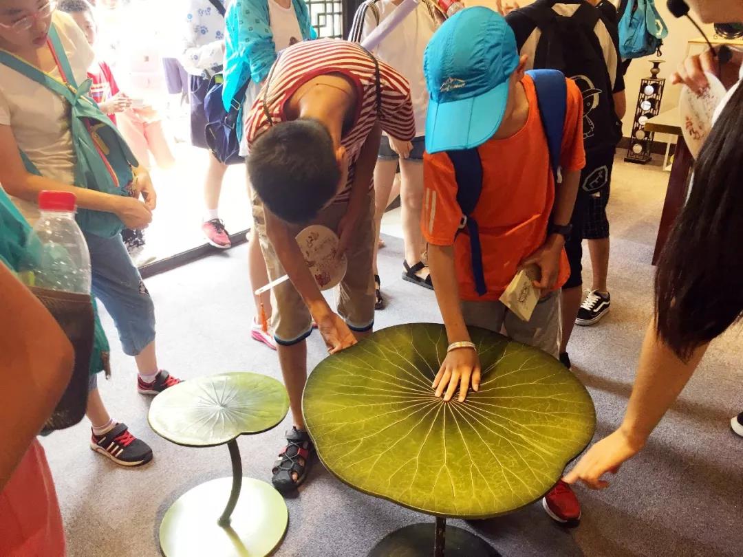 齐鲁晚报研学受热捧!不出城,多款研学产品等你来!