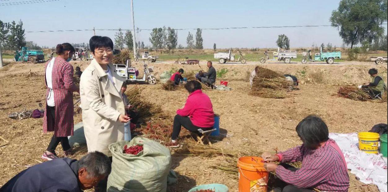 巨野县杨德芹图片