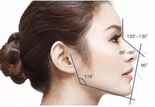 鼻子发育过程图解图片