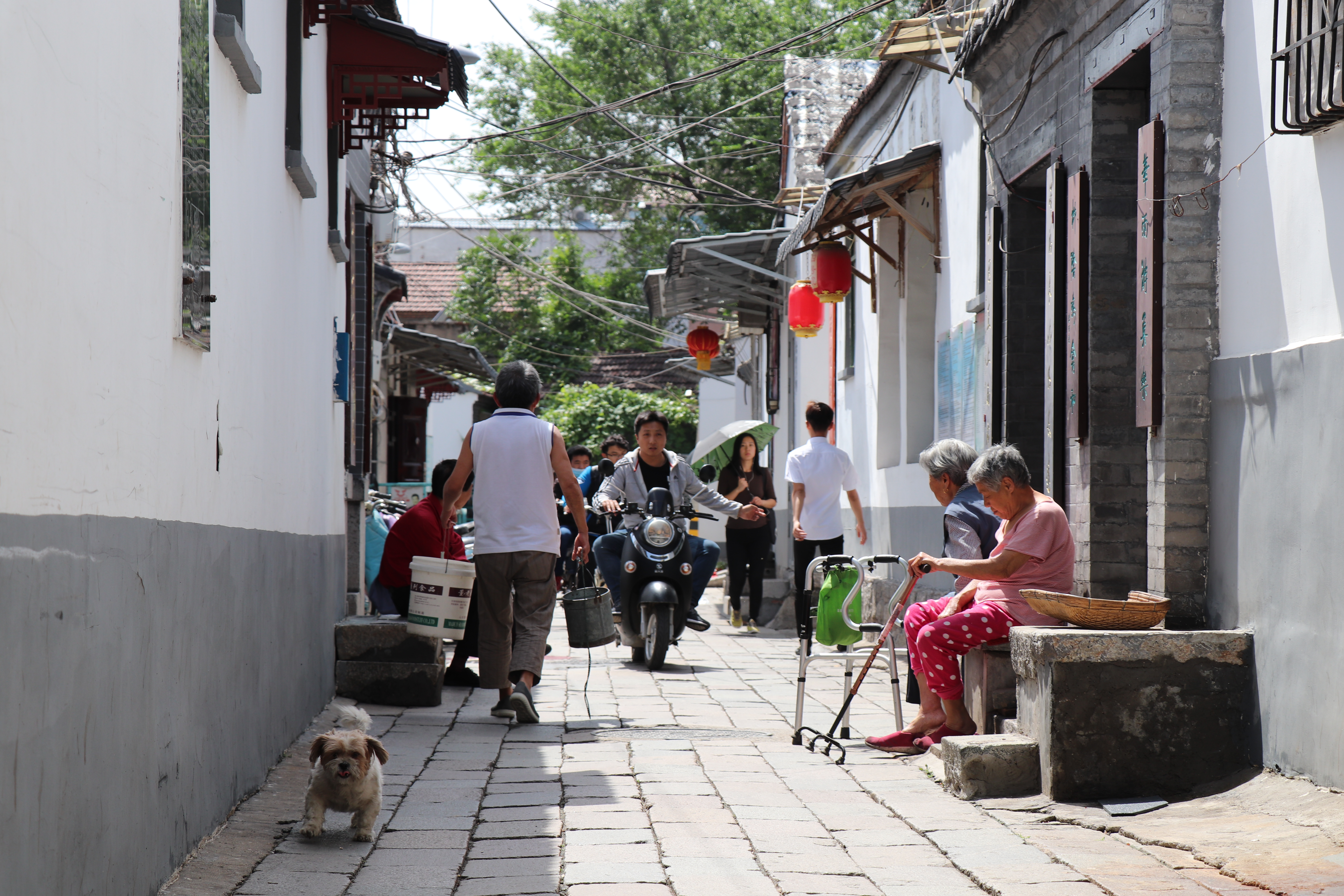 泉城映象|泉城路北这片老街巷,因为厚重才更显魅力