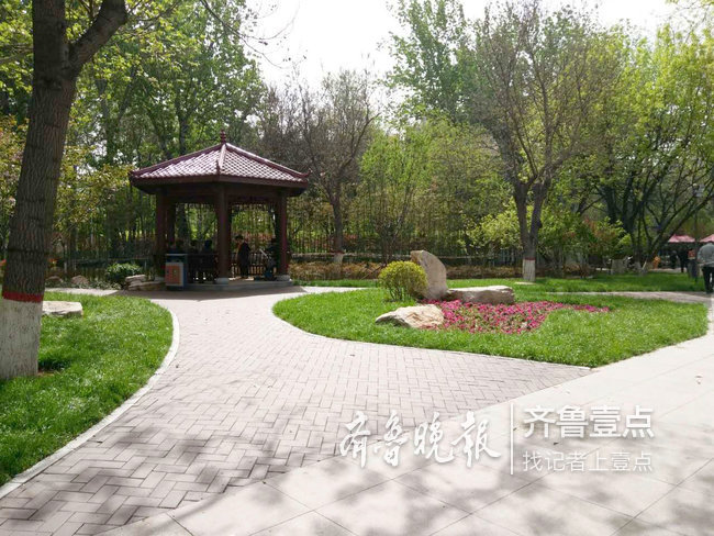 靓丽宜居大美聊城公园就在家门口出行置身花海中